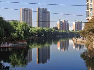 2025年新澳天天彩大全或2025年澳门历史记录，严防消费陷阱,完整释义、专家解析解释与落实