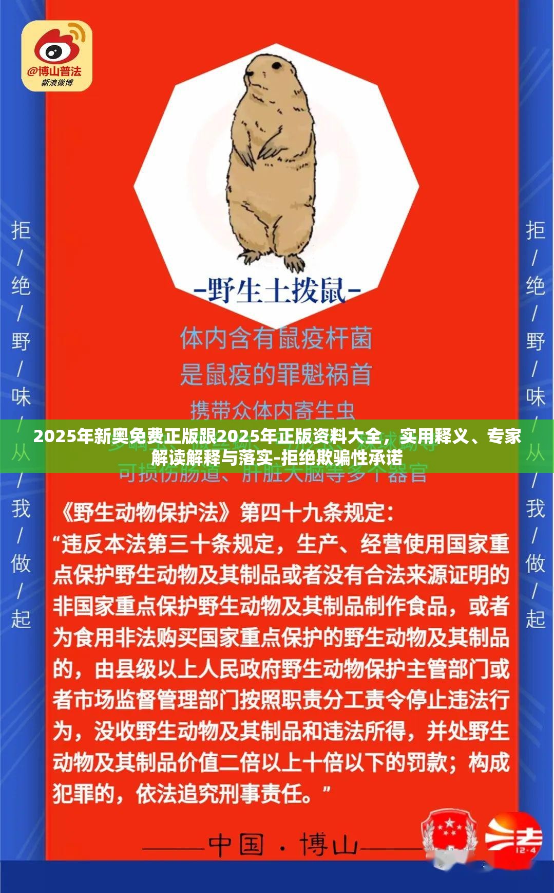 阮新之
